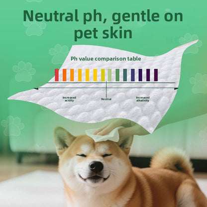 Pet Cleaning Wipes for Odor Control and Hygiene